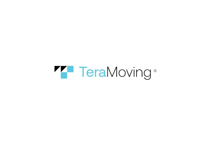 Brand guidelines - Terramoving